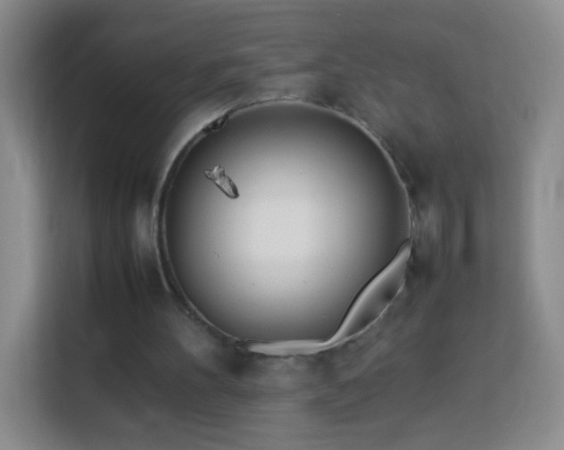 X0000114060100200910051224