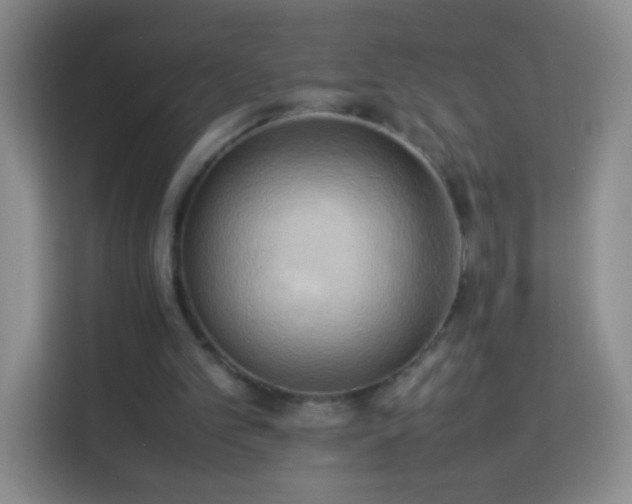 X0000114060101200910051224