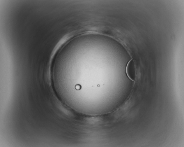 X0000114060102200910051224