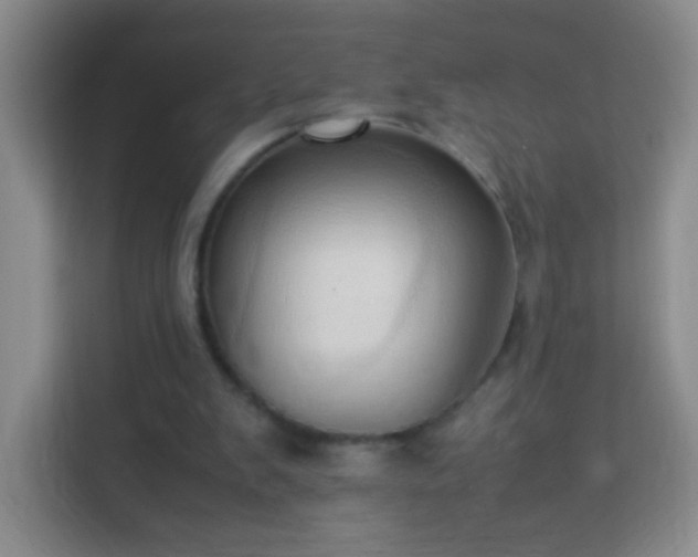 X0000114060103200910051224