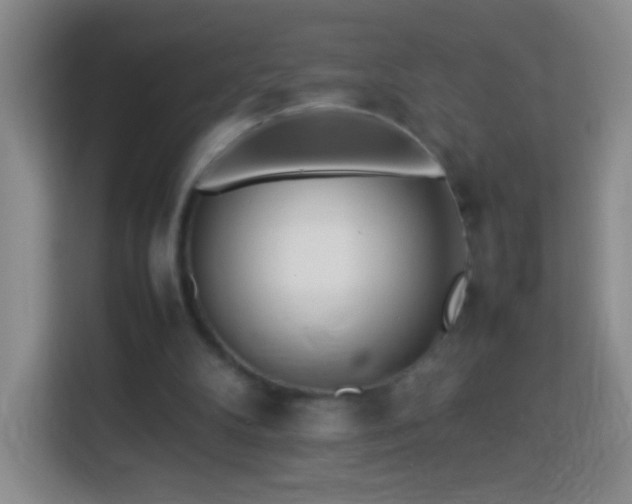 X0000114060104200910051224