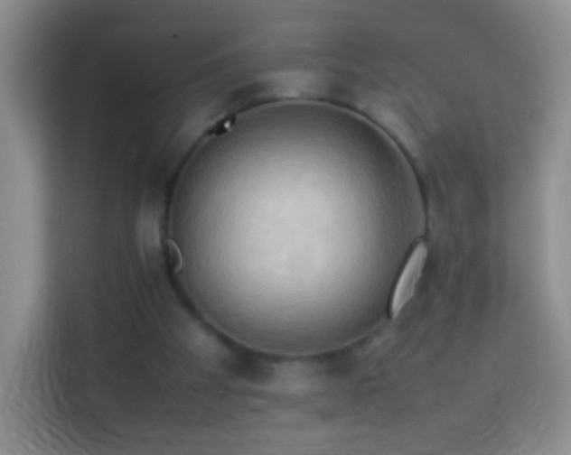 X0000114060105200910051224