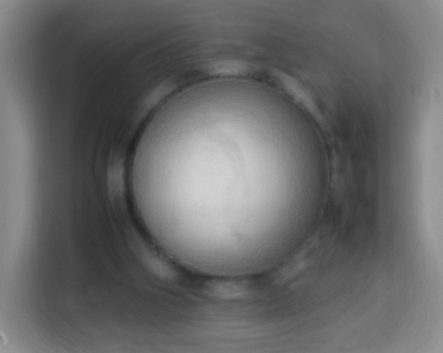 X0000114060106200910051224