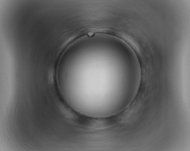 X0000114060107200910051224