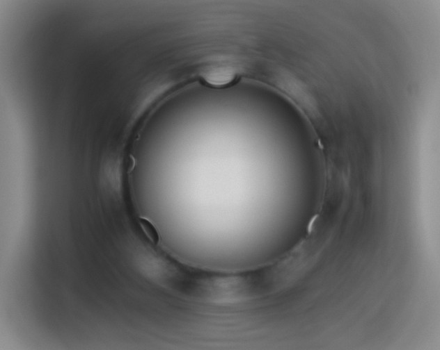 X0000114060108200910051224