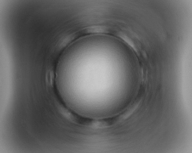 X0000114060109200910051224