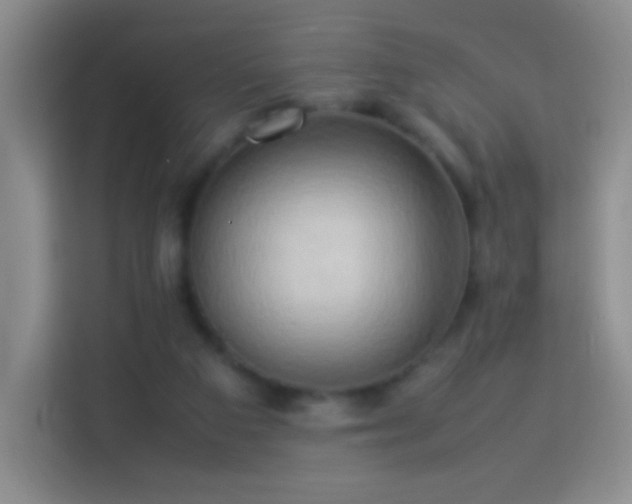 X0000114060113200910051224