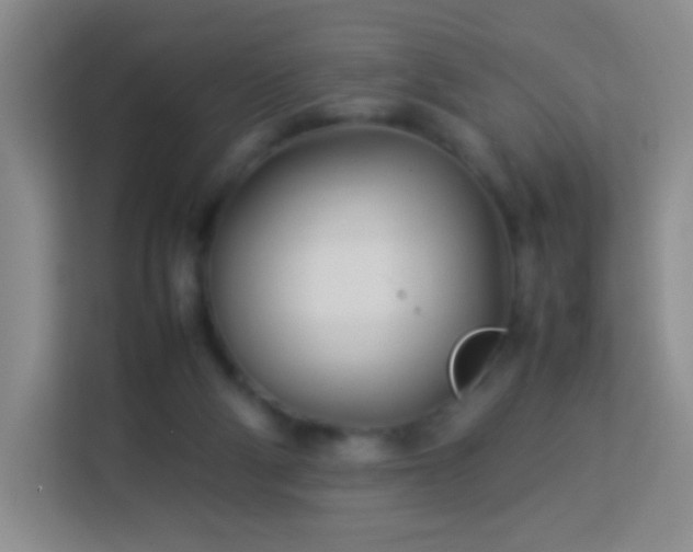 X0000114060114200910051224