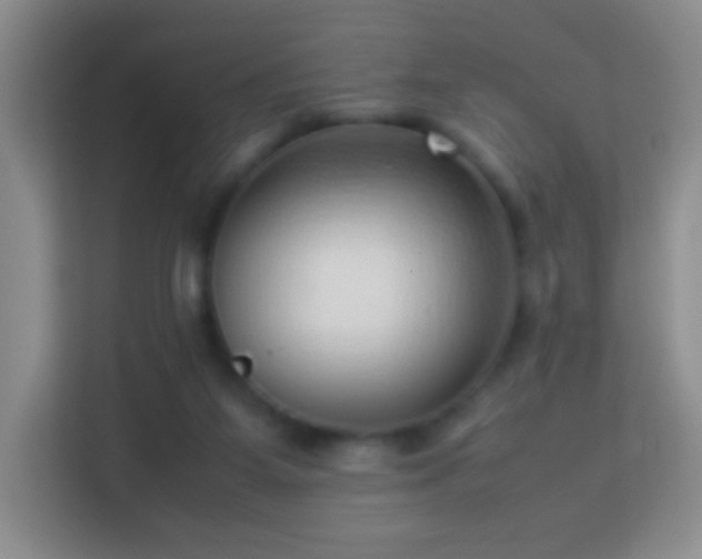 X0000114060115200910051224