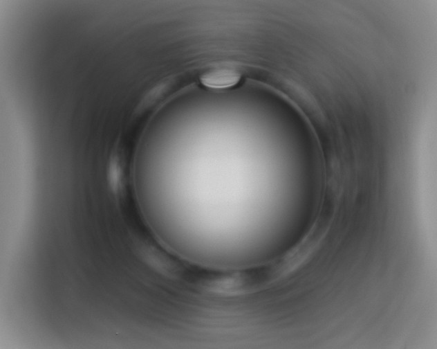 X0000114060116200910051224