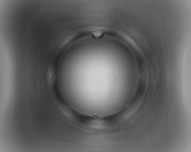 X0000114060119200910051224