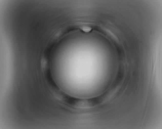 X0000114060123200910051224