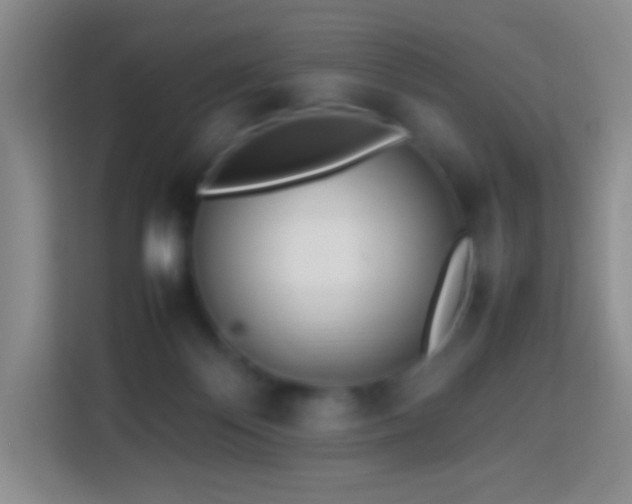 X0000114060124200910051224