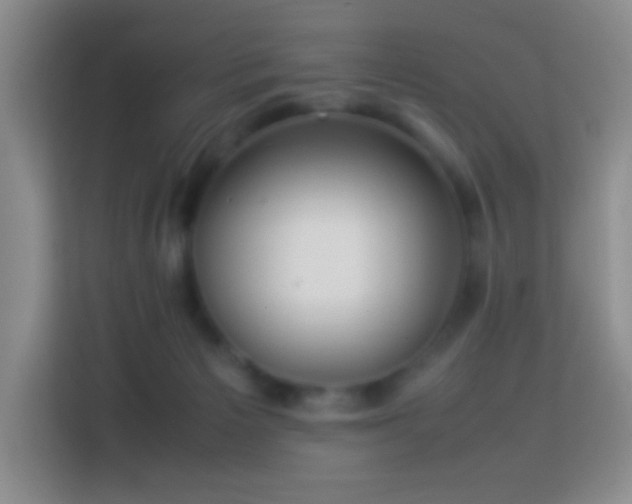 X0000114060125200910051224