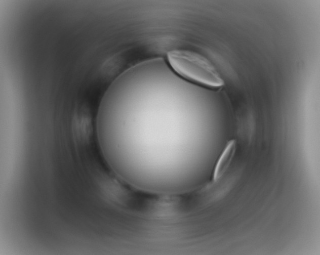 X0000114060128200910051224