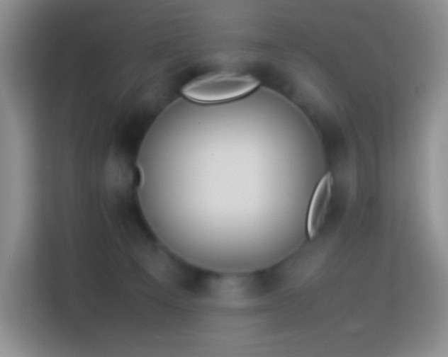 X0000114060129200910051224