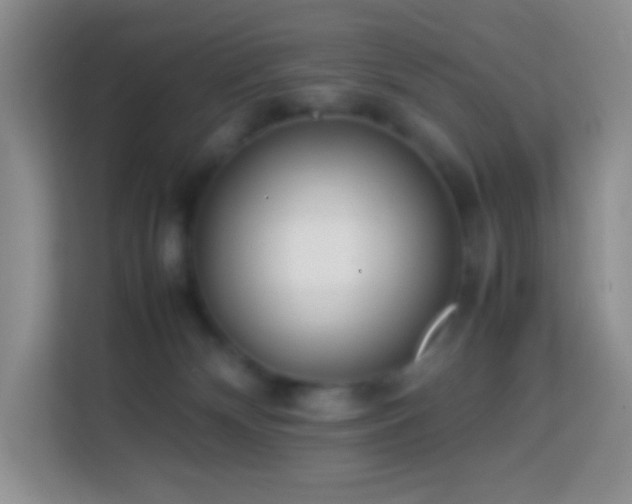 X0000114060132200910051224