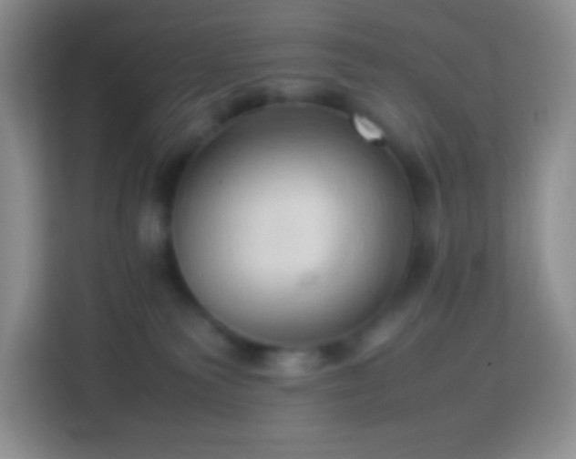 X0000114060135200910051224