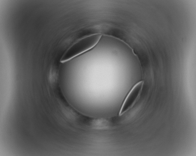 X0000114060137200910051224