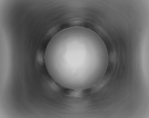 X0000114060138200910051224