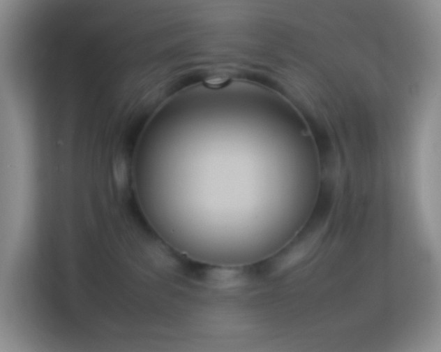 X0000114060139200910051224