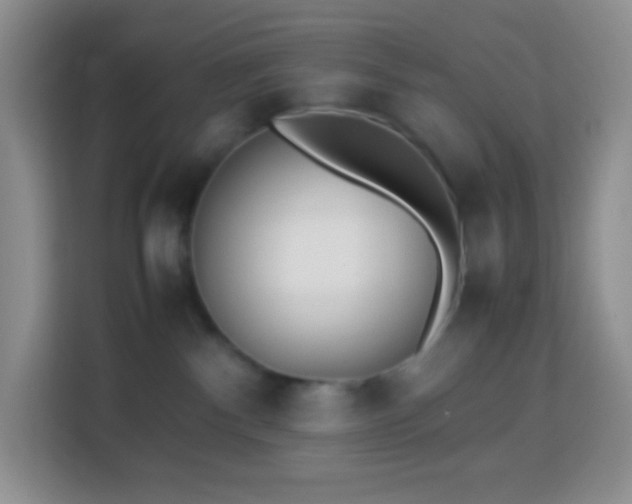 X0000114060140200910051224