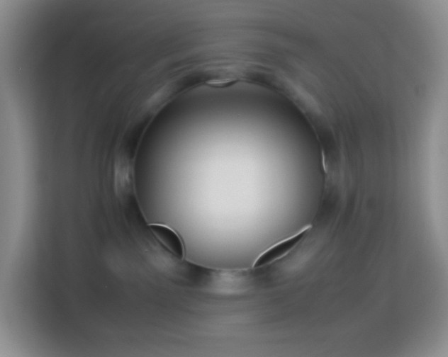 X0000114060141200910051224