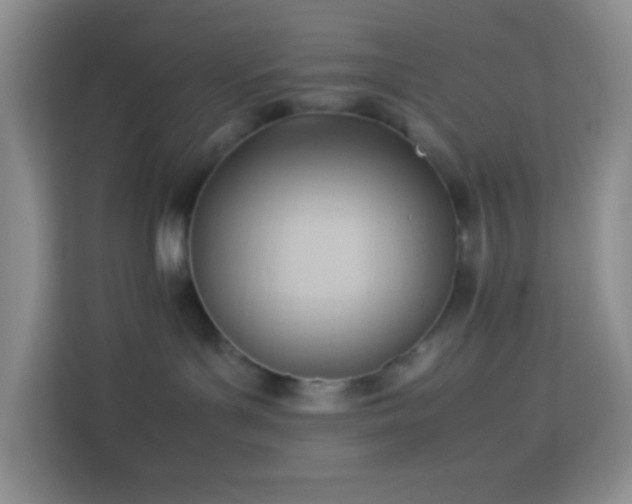 X0000114060143200910051224