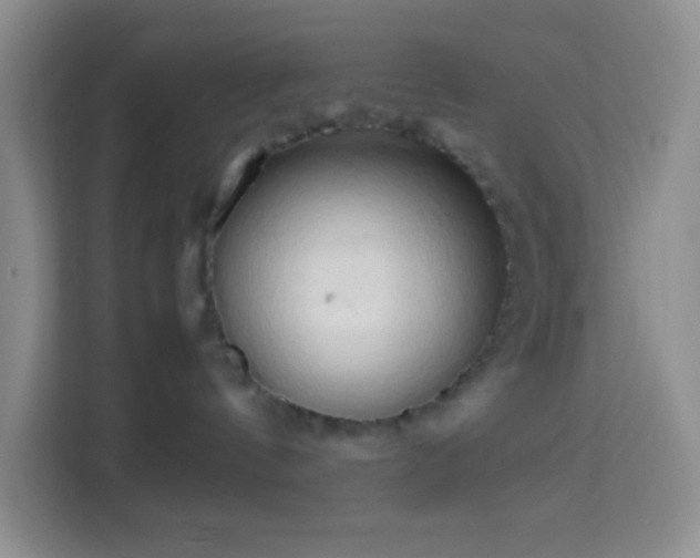 X0000114060144200910051224