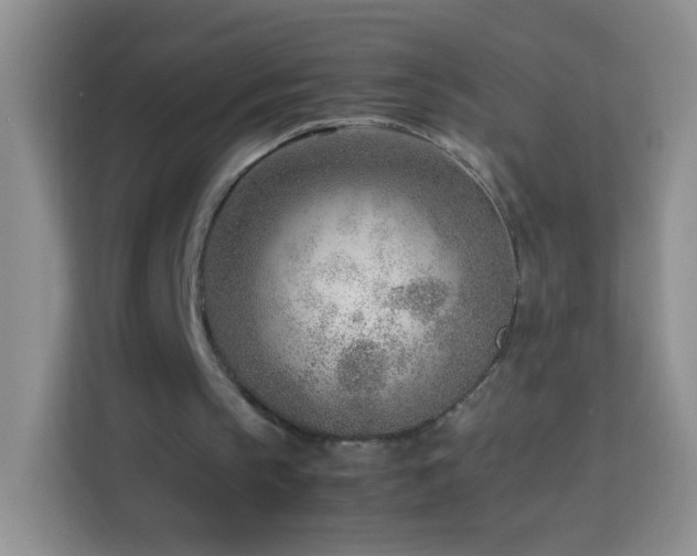 X0000114060145200910051223