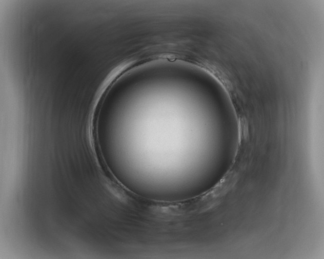 X0000114060147200910051223