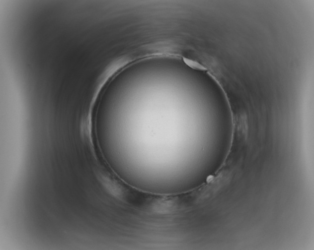 X0000114060148200910051223