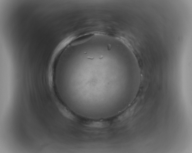 X0000114060149200910051223