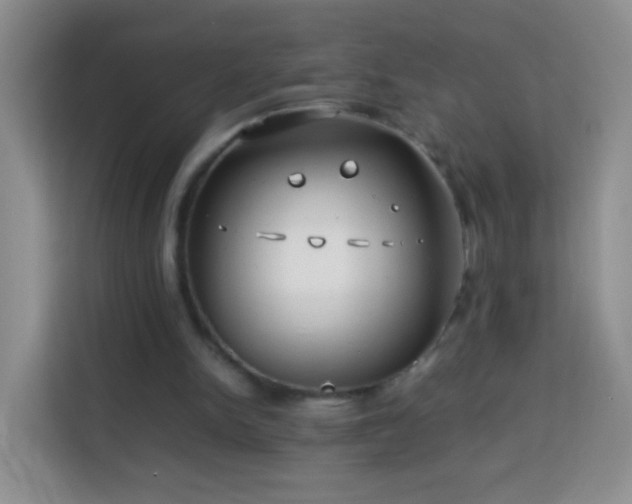 X0000114060150200910051223