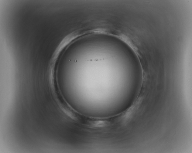 X0000114060151200910051223