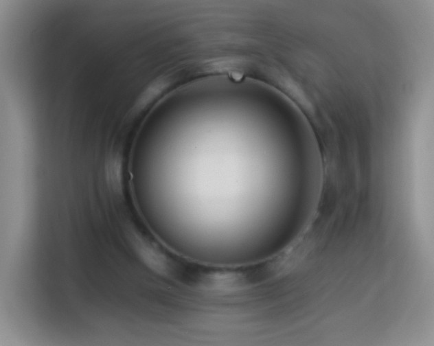 X0000114060154200910051223