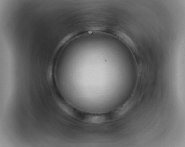 X0000114060155200910051223