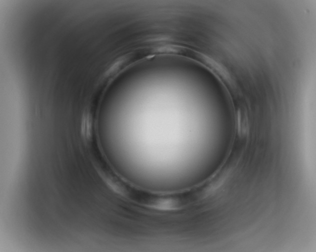 X0000114060157200910051223