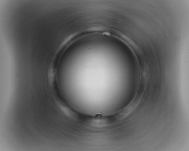 X0000114060160200910051223