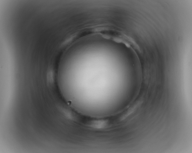 X0000114060161200910051223