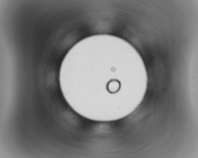 X0000114060162200910051223