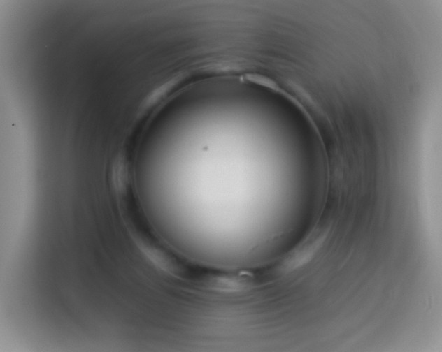 X0000114060164200910051223