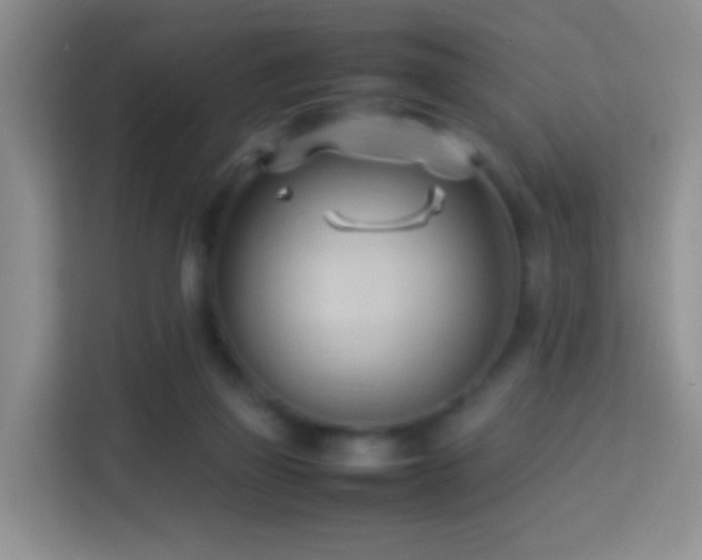 X0000114060165200910051223