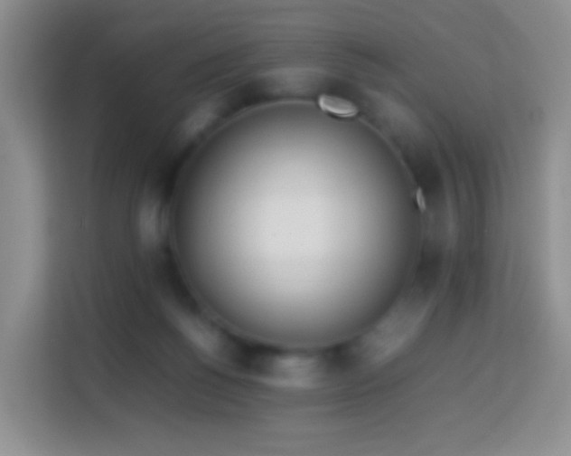 X0000114060168200910051224