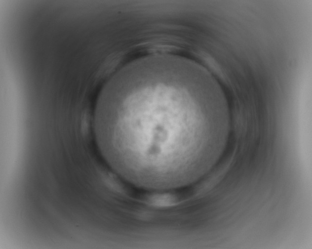 X0000114060169200910051224