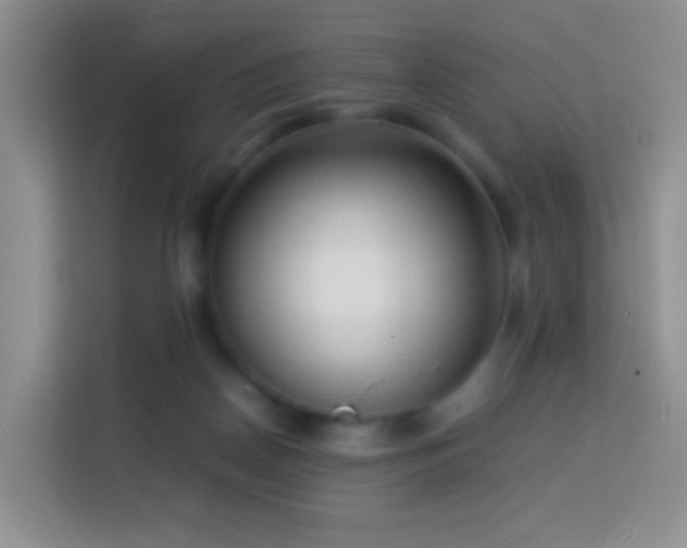 X0000114060170200910051224