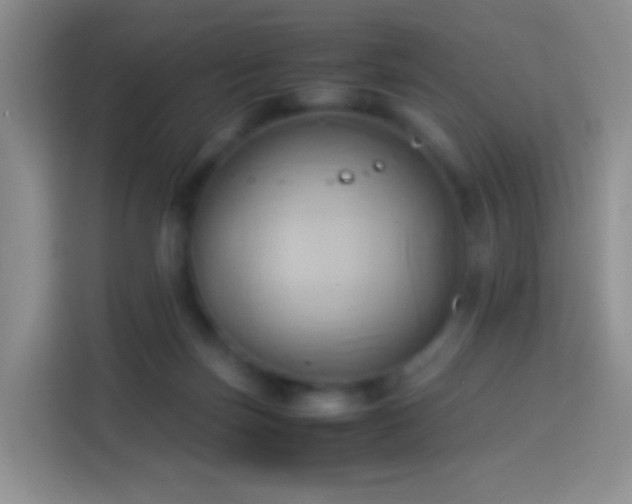 X0000114060171200910051224