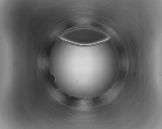 X0000114060172200910051224