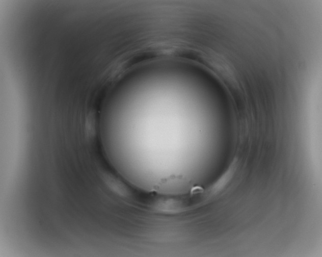 X0000114060174200910051224