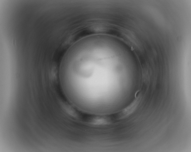 X0000114060175200910051224